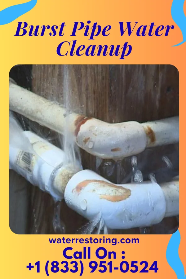 Burst Pipe Water Cleanup in Northeast Ithaca, NY