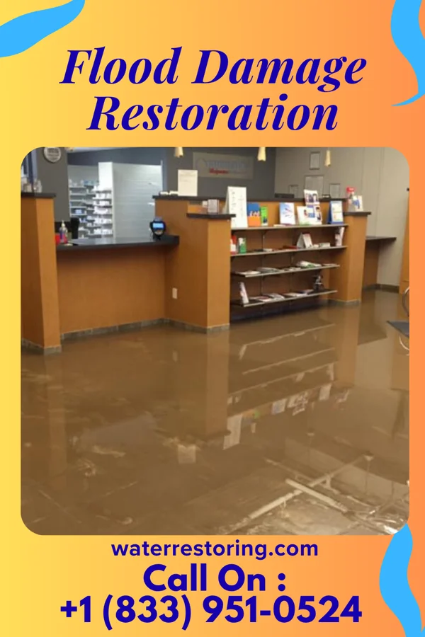 Flood Damage Restoration in Northeast Ithaca, NY