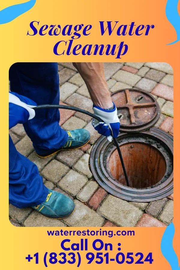 Sewage Water Cleanup in Northeast Ithaca, NY